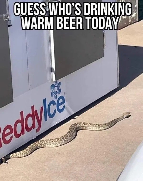 Funny Memes (28 pics)