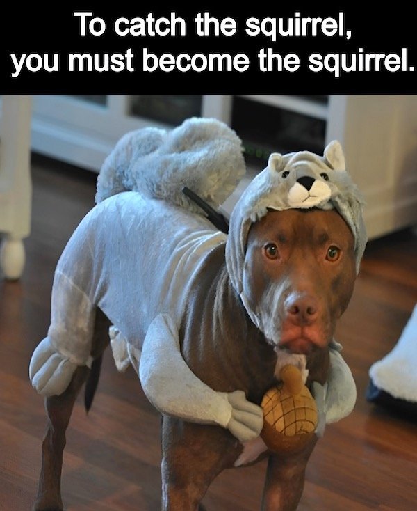 Random Memes (33 pics) Random Memes (33 pics)