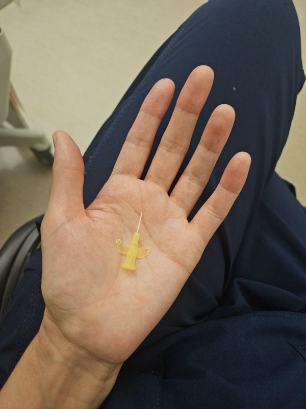 Interesting Finds (24 pics)