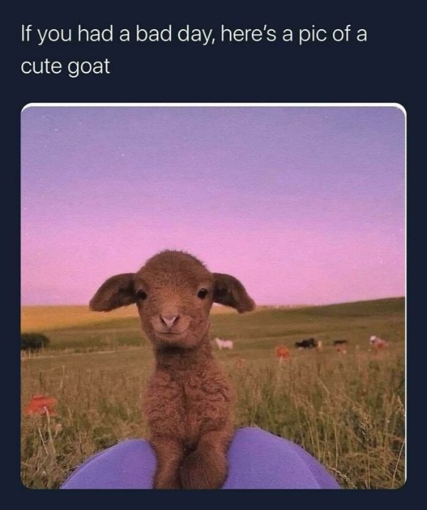 Kind Memes And Stories (28 pics) Kind Memes And Stories (28 pics)