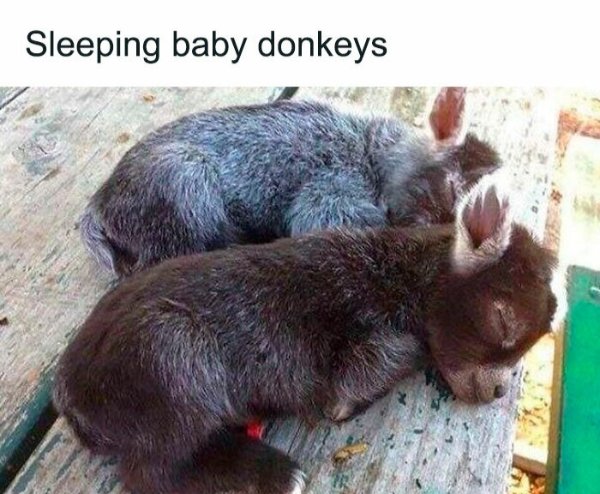 Kind Memes And Stories (28 pics) Kind Memes And Stories (28 pics)