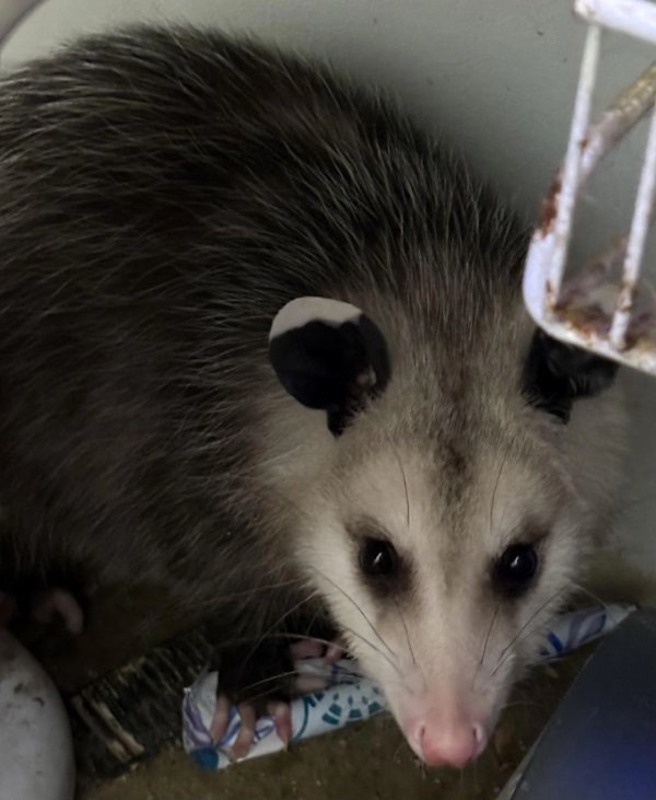 Bad Days Happen (24 pics)