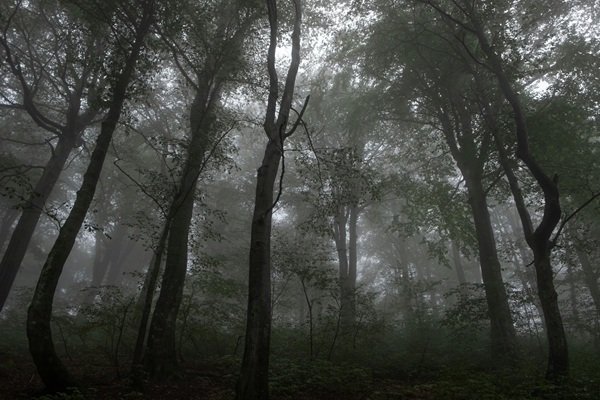 Random Facts (19 pics) Random Facts (19 pics)