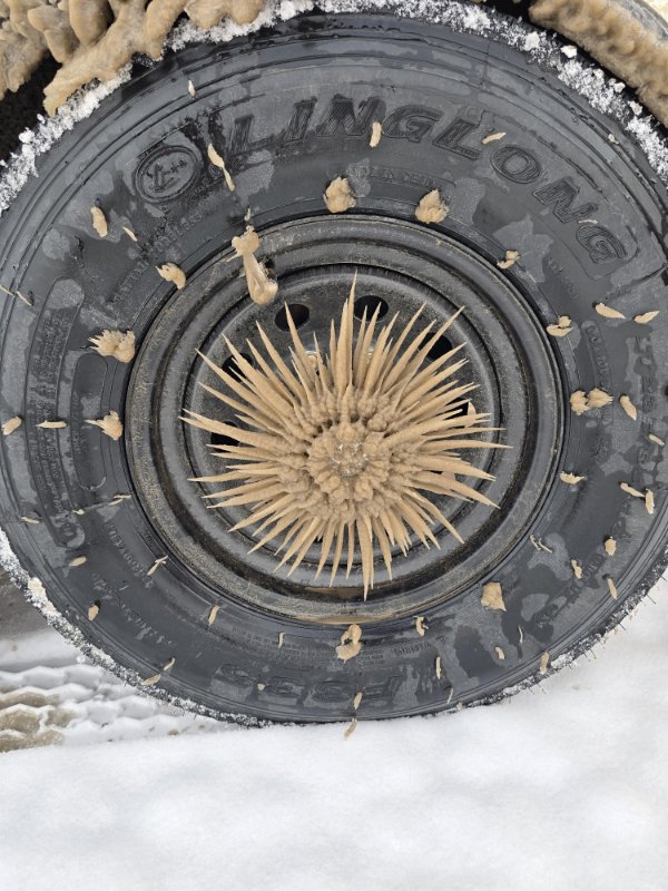 Interesting Finds (24 pics)