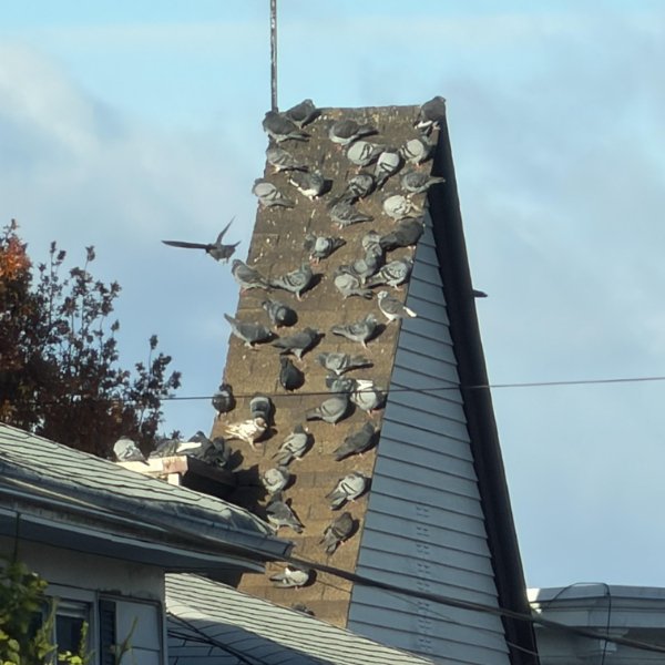 Interesting Finds (24 pics)