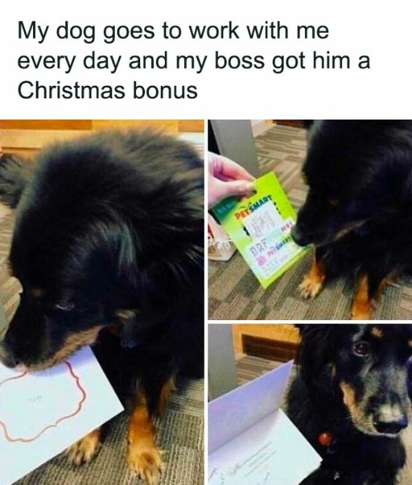 Kind Memes And Stories (28 pics) Kind Memes And Stories (28 pics)