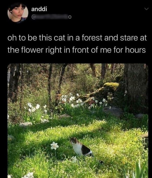 Kind Memes And Stories (28 pics) Kind Memes And Stories (28 pics)