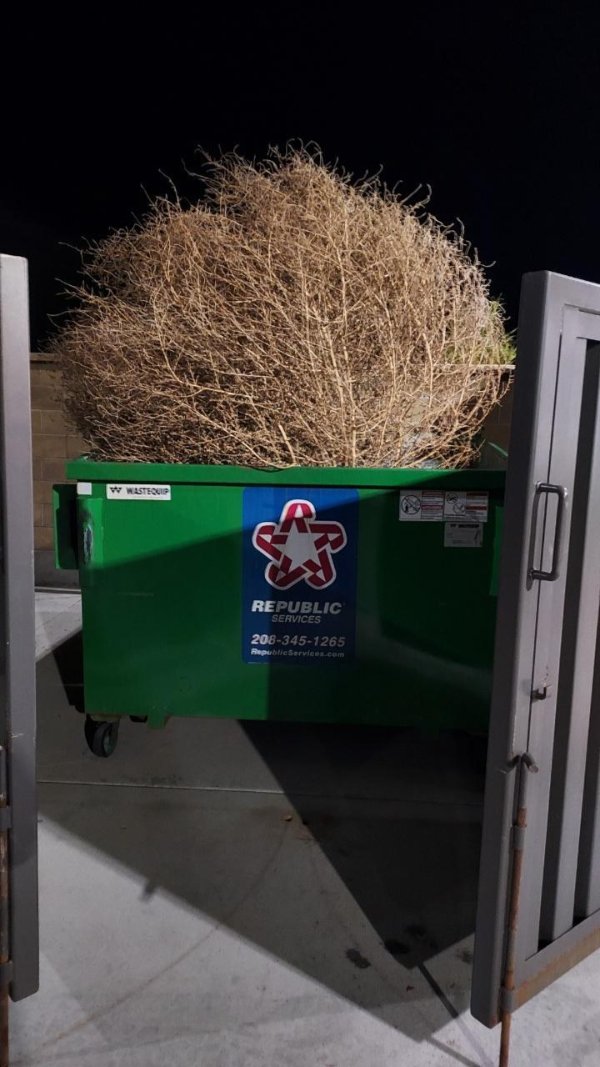 Interesting Finds (24 pics)