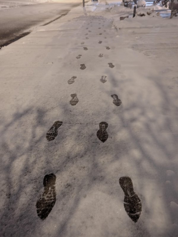 Interesting Finds (24 pics)