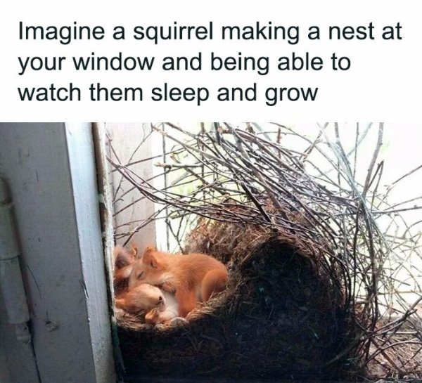 Kind Memes And Stories (28 pics) Kind Memes And Stories (28 pics)