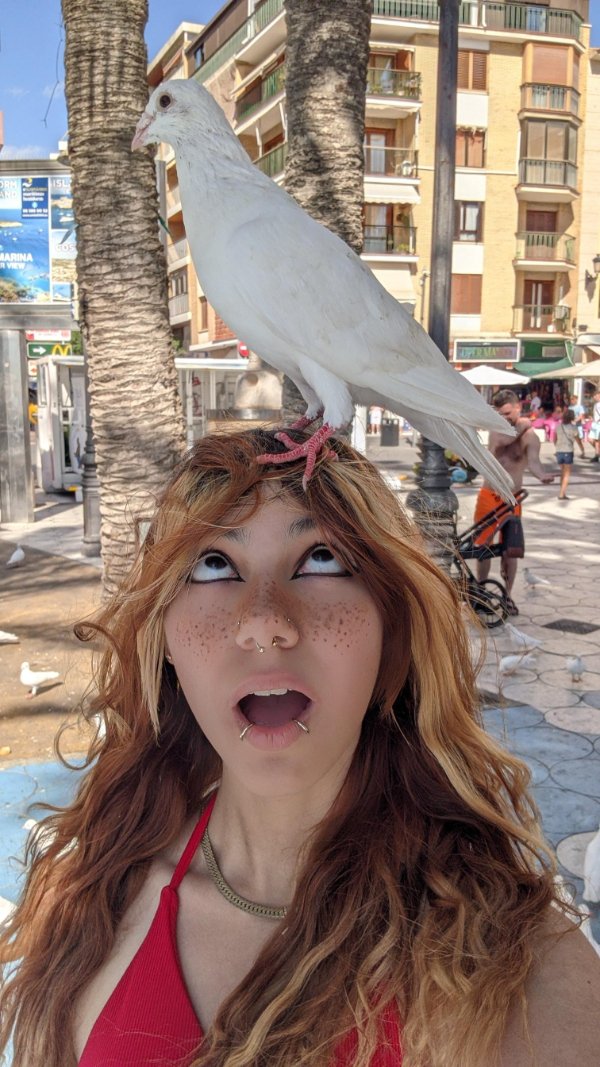 Interesting Finds (24 pics)