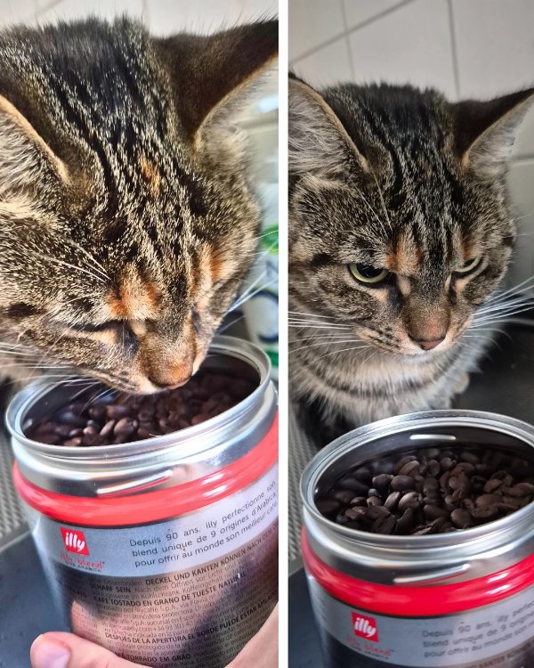 Bad Days Happen (24 pics)