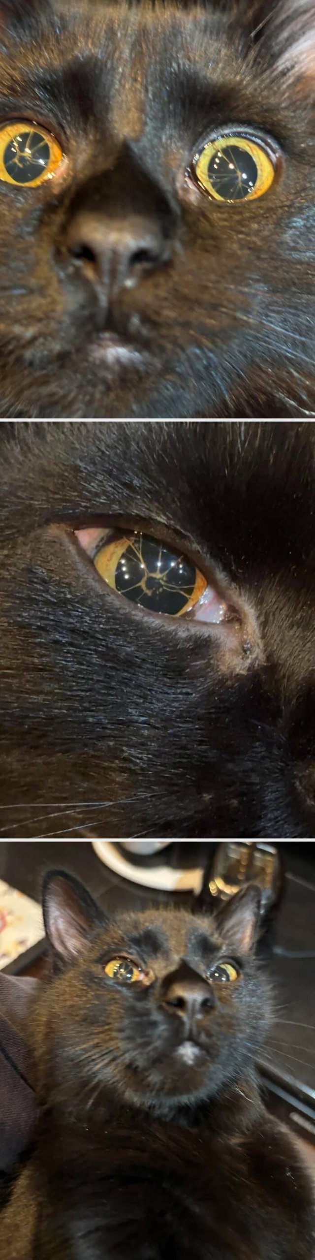 Interesting Finds (26 pics)