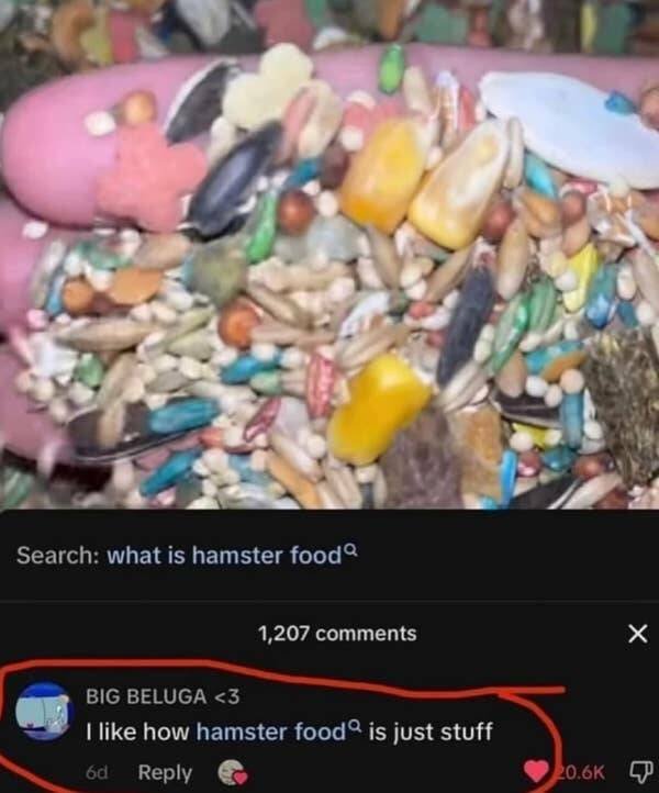 What Is Going On Here? (27 pics)