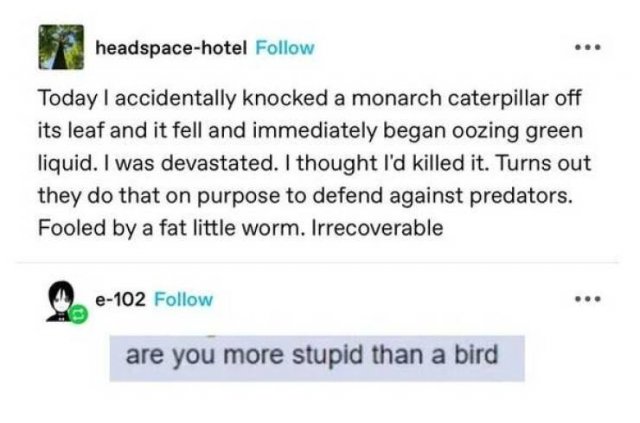 What Is Going On Here? (27 pics)