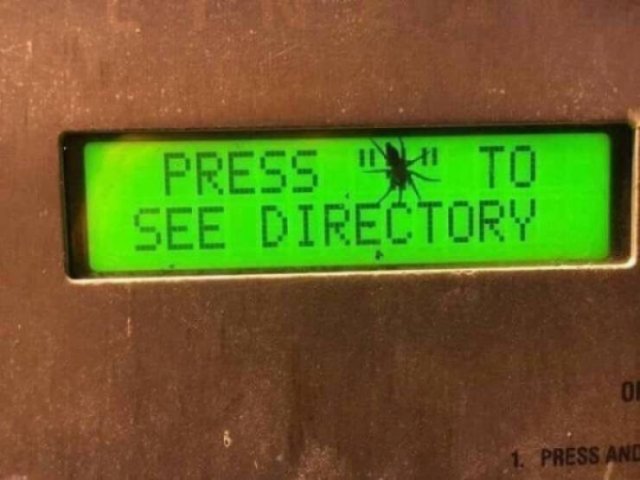 Hilarious Jokes And Photos (21 pics)