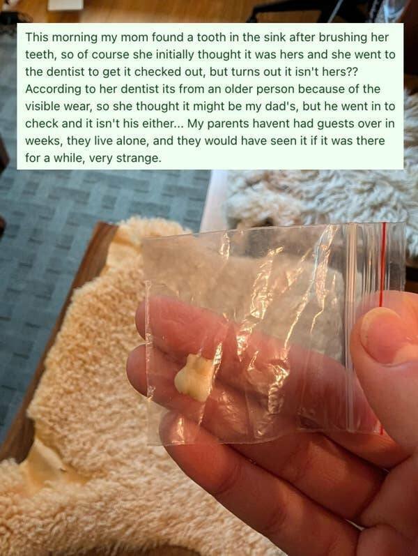 Interesting Finds (26 pics)