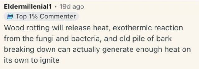 Interesting Finds (26 pics)