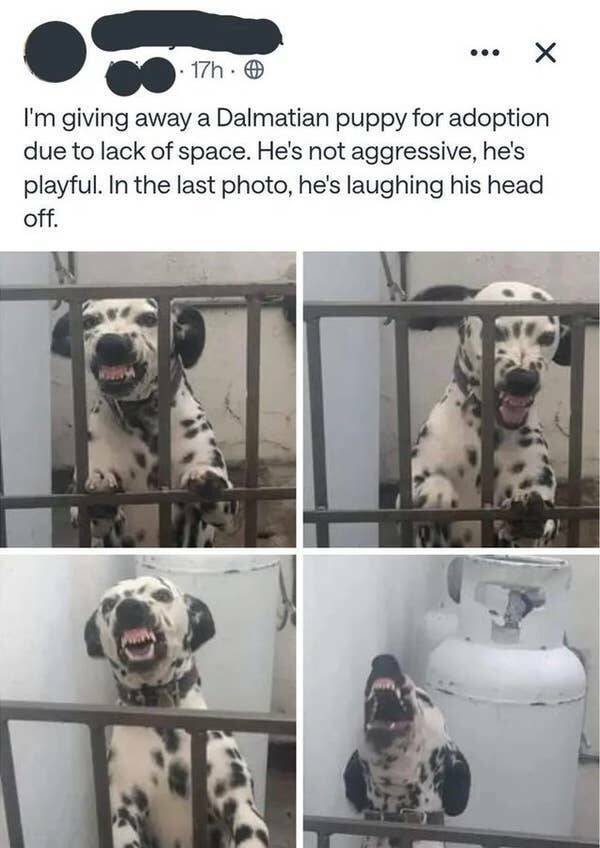 What Is Going On Here? (27 pics)