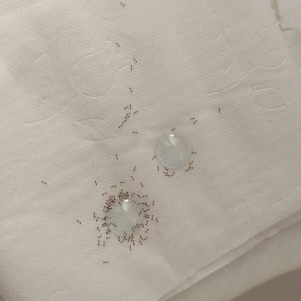 Interesting Finds (26 pics)