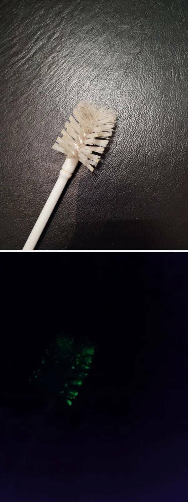 Interesting Finds (26 pics)