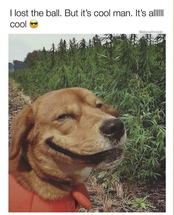 Funny Memes (25 pics) Funny Memes (25 pics)