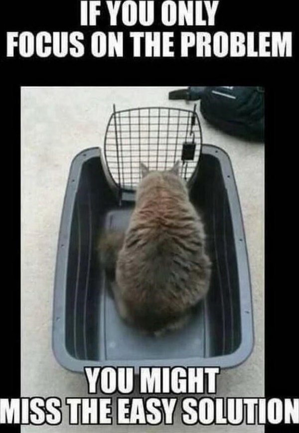 Jokes And Photos For Cats Lovers (32 pics)