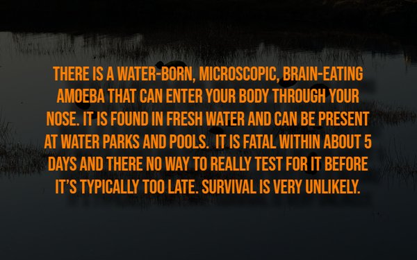 Creepy Facts (13 pics) Creepy Facts (13 pics)