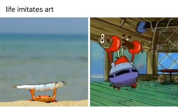 Memes With Spongebob (23 pics) Memes With Spongebob (23 pics)