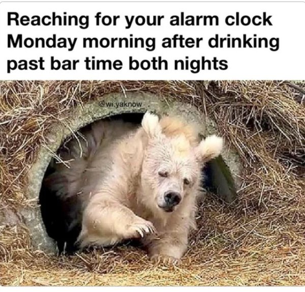 Work Memes (26 pics)