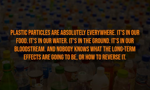 Creepy Facts (13 pics)