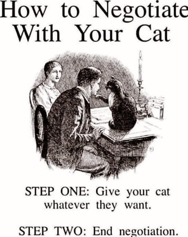 Jokes And Photos For Cats Lovers (32 pics)