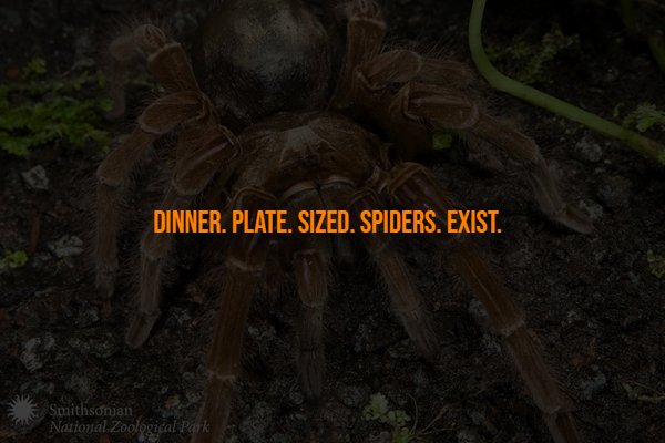 Creepy Facts (13 pics) Creepy Facts (13 pics)