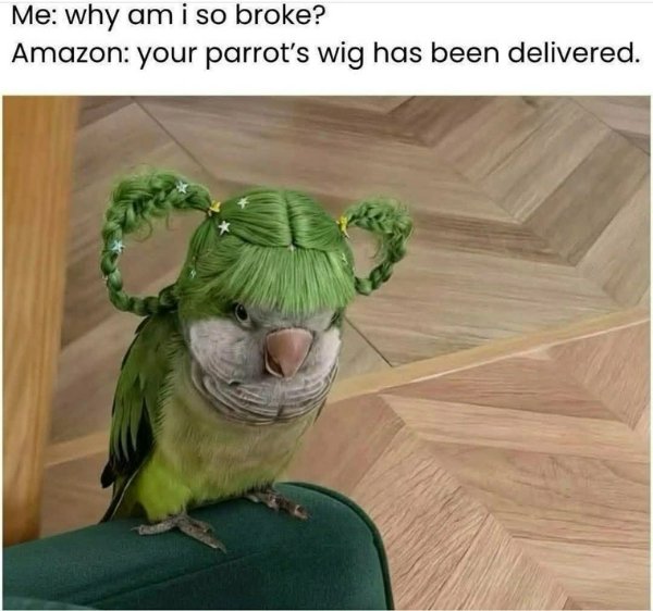 Funny Memes (25 pics) Funny Memes (25 pics)