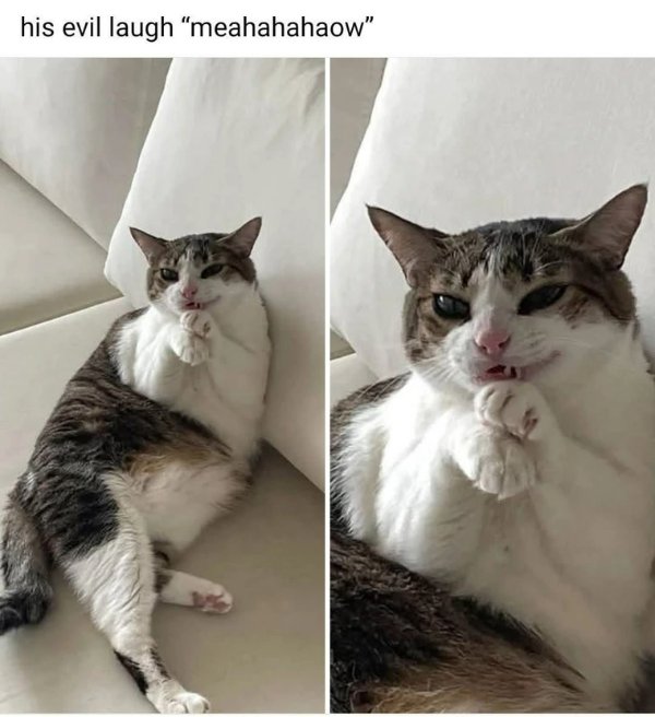 Funny Memes (25 pics) Funny Memes (25 pics)