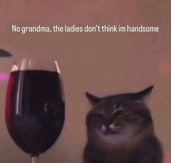 Funny Memes (25 pics) Funny Memes (25 pics)