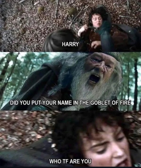Memes For ''The Lord Of The Rings'' Fans (28 pics)