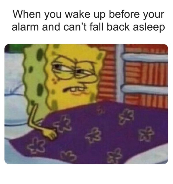 Truthful Memes (32 pics)