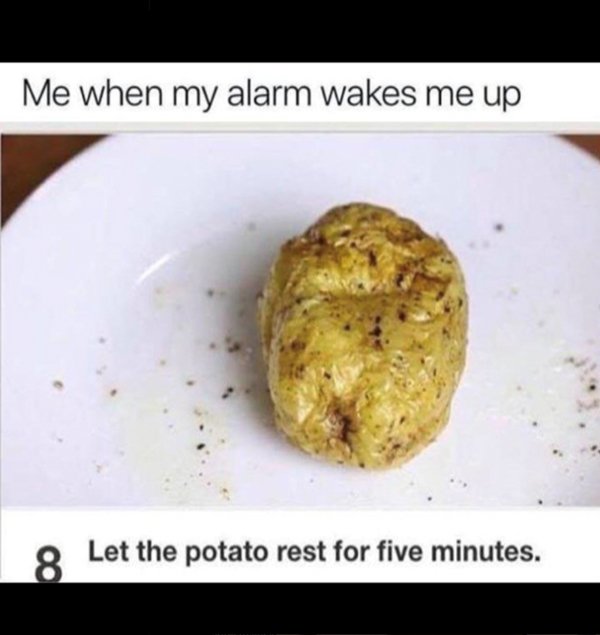 Truthful Memes (32 pics)