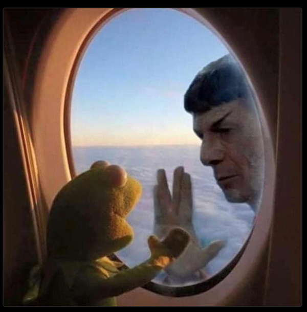 Movie Memes (42 pics)