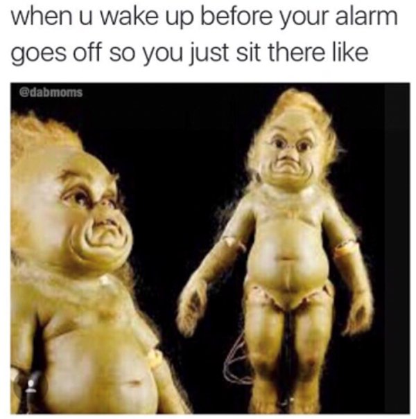 Truthful Memes (32 pics)