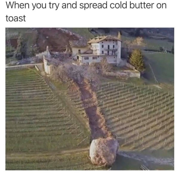 Truthful Memes (32 pics)