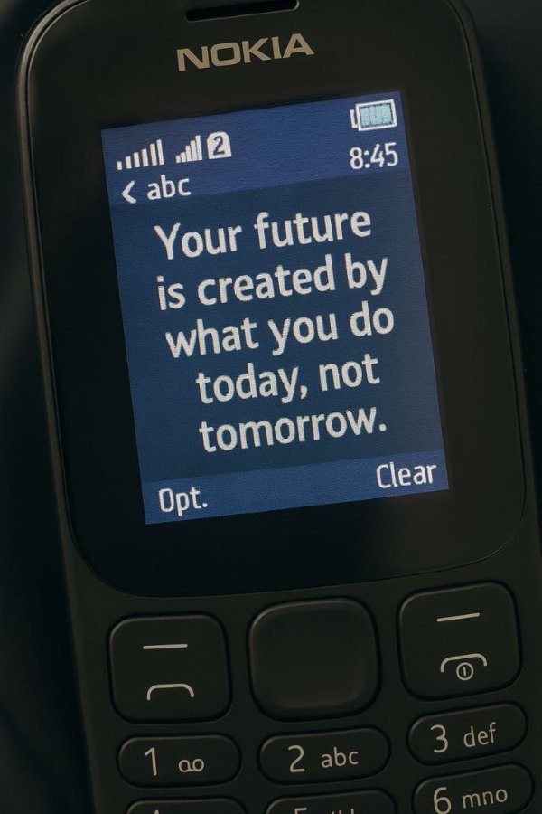 What Is Going On Here? (31 pics)