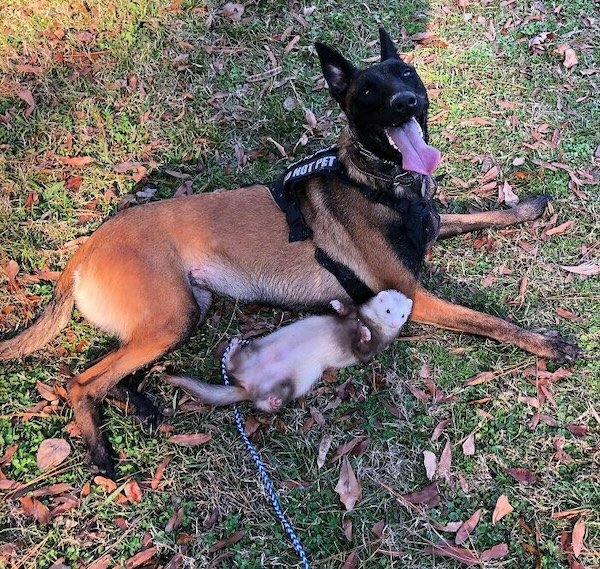 Unexpected Friendship (32 pics)