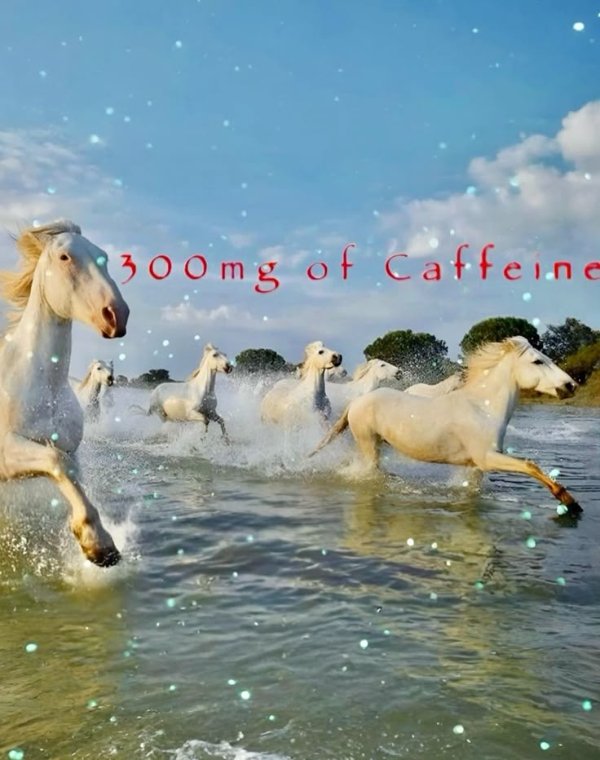 What Is Going On Here? (31 pics)