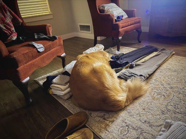 Bad Days Happen (22 pics)