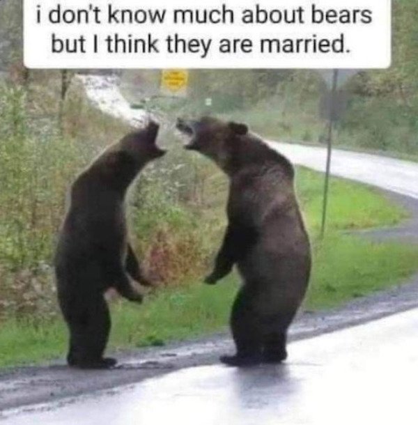 Funny Memes (37 pics)