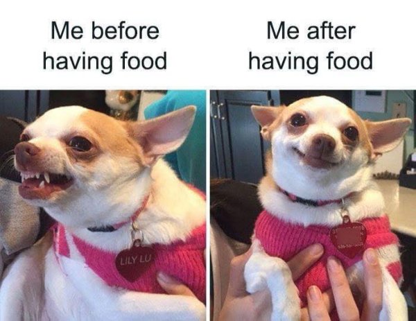 Appetizing Memes And Photos (31 pics)