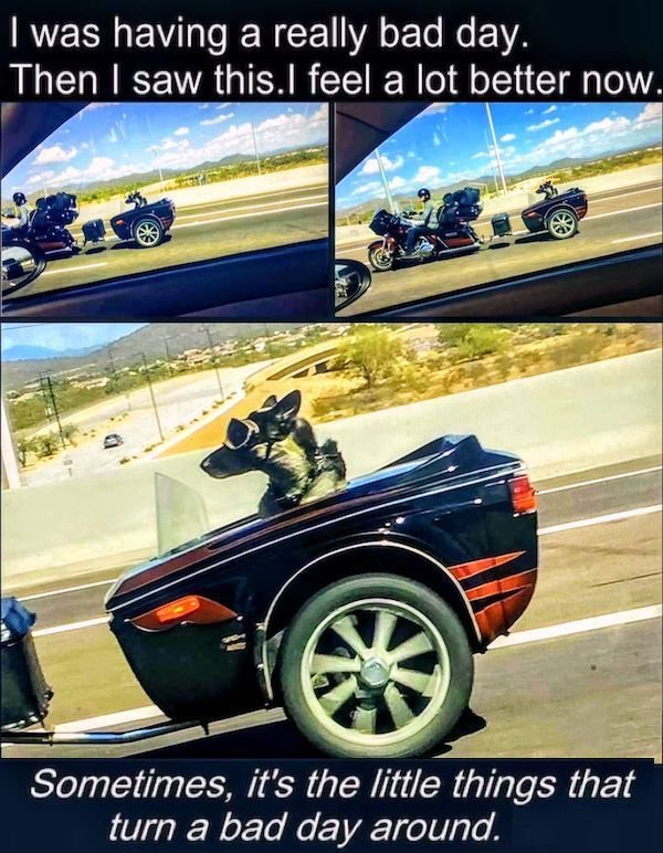 Funny Memes (37 pics)