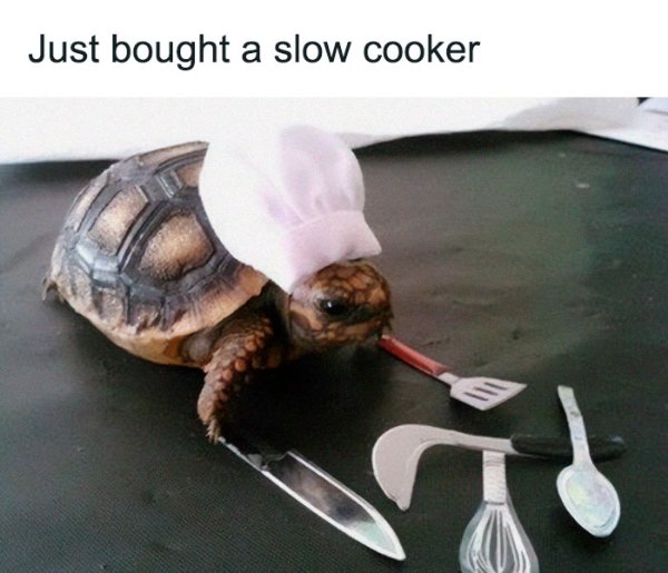 Appetizing Memes And Photos (31 pics)